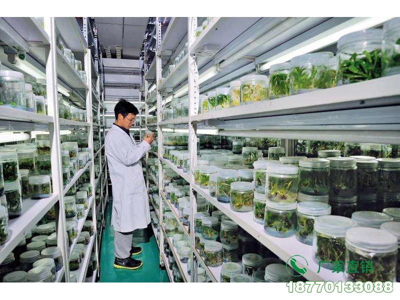 漾濞县种子实验室密集货架